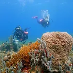 Dhozt Marlinda Beach House. Cartagena Colombia
